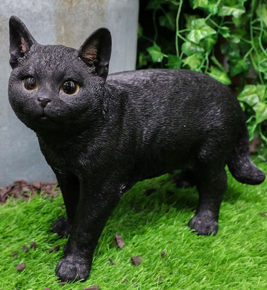 Large Lifelike Mystical Standing Black Cat Kitten Statue with Glass Eyes15"L