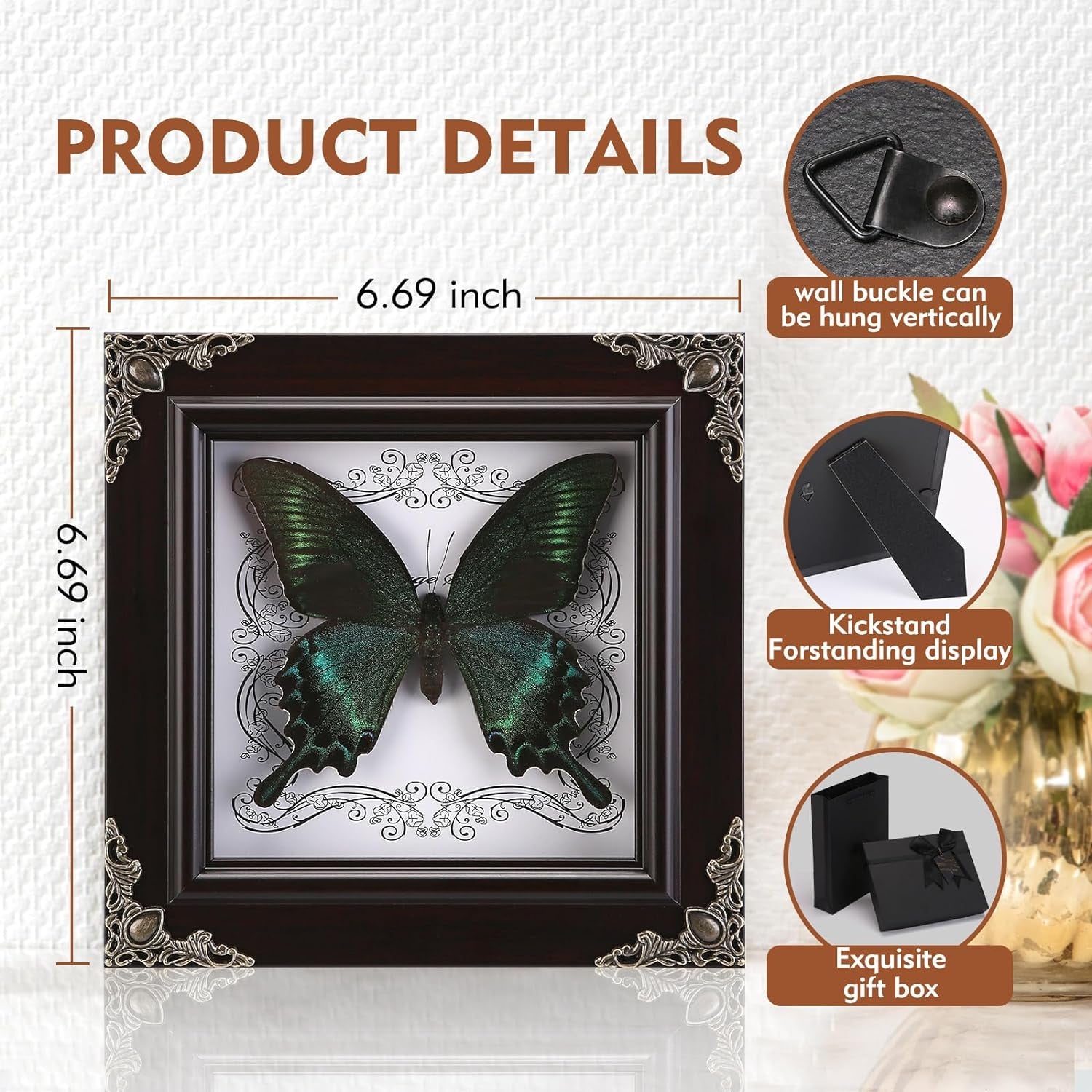 Real Butterfly Framed Handmade, Taxidermy Butterfly Shadow Box Collection, Framed Butterfly Taxidermy for Gothic Home Decor (A_Green-Banded Queen Butterfly)