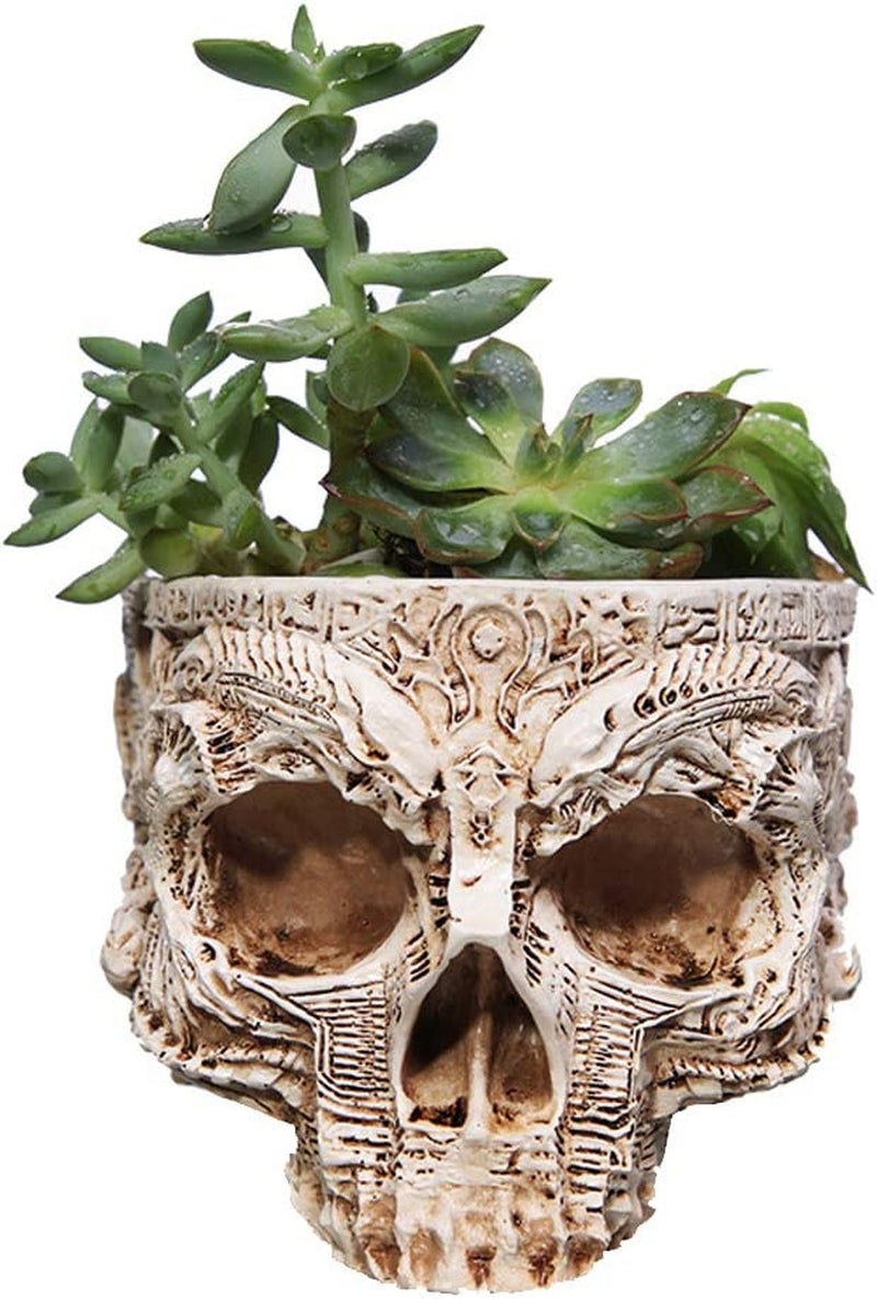 Skull Planter Suger Holder Resin Flower Succulents Pot Skeleton Flowerpot Candy Bowl Halloween Dish Statue Sculpture Skeleton Indoor Outdoor Decoration