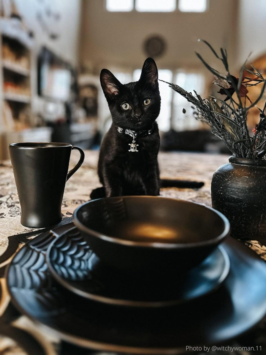 Spiderweb Dinnerware Set (16 Pieces) - Gothic Kitchen Decor - Black Matte Porcelain Gothic Dinnerware Set: 4 Dinner Plates 4 Salad Plates 4 Bowls 4 Mugs - Spiderweb Decor Halloween Spooky Gifts