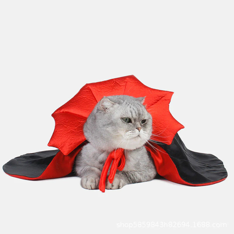 Halloween Cat Vampire Costume