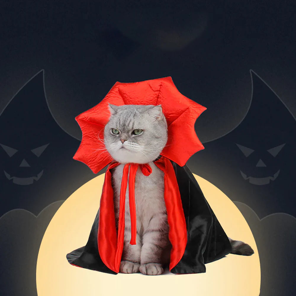 Halloween Cat Vampire Costume